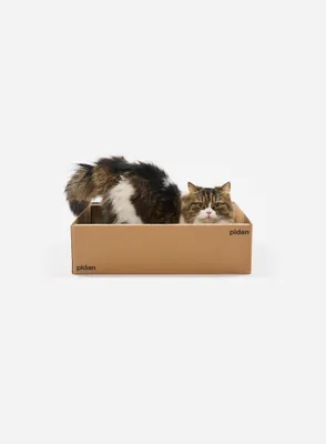 Produktbild von PIDAN Kratzbrett in Boxform für Katzen | Liegefläche | 49 x 34 cm