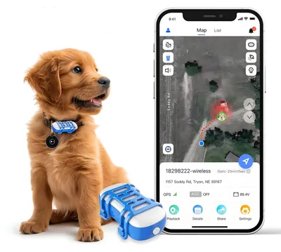 GPS-Tracker für Hunde, Echtzeit-Standort, Fluchtalarm, Blau