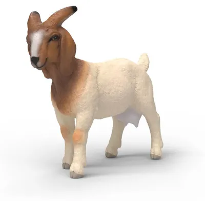 Produktbild von schleich FARM WORLD 14929, 3 Jahr(e), Mehrfarbig, Kunststoff