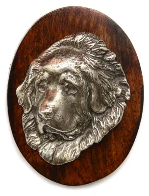 Produktbild von Do khyi, Tibetdogge, Tibetanische Dogge, Tibetmastiff - Hundeausstellungsbrosche, Startnummernclip, Hundeanstecker von Art-Dog