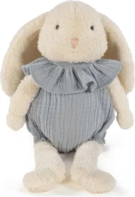 Immagine prodotto di Pasito A Pasito Plush Toy 1120800261-AZUL in Blue color size Talla unica