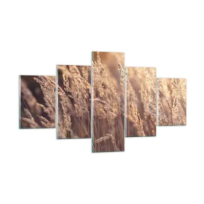 Produktbild von Bilder auf glas - 5 Teile - Boho Ähren Feld - 125x70cm - Glasbilder - Wandbilder - Bilder - zum Aufhängen bereit - Wanddekoration aus Glas - Glas Bilder - Wandbild auf Glas - GEA125x70-4838