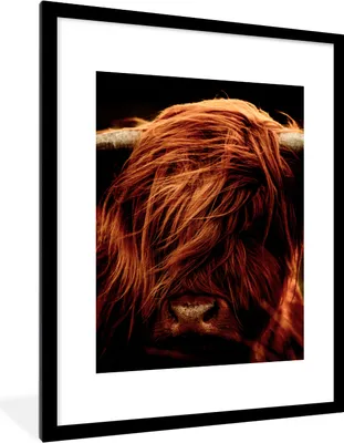 Produktbild von MuchoWow® Gerahmtes Poster Schottischer Highlander - Kuh - Hörner - Porträt - Tiere 60x80 cm - Poster mit Schwarzem Bilderrahmen Wandposter Rahmen Foto Bilder - Wohnzimmer - Dekorationen - Prämie
