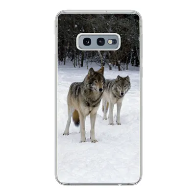 Produktbild von MuchoWow® Handyhülle Schutzhülle Hülle für Samsung Galaxy S10e Wolf - Schnee - Kanada Silikon Softcase Handy Hülle - Handy