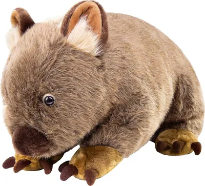 Produktbild von Realistisches Wombat Plüschtier, 26 cm, weiches Kristall-Baumwollmaterial, PP-Füllung, Kinder Kuscheltier und Dekoration