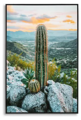 Imagen del producto de Mauro Ferretti. Estampado sobre tela lacada con marco Cactus, 60x4x90 cm