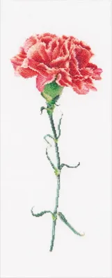 Produktbild von Thea Gouverneur telpakket "Anjerrood Evenweave", 17x42cm