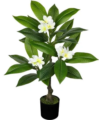 Obrázek produktu pro Umělý tropický strom, 75 cm, s bílými umělými květy frangipani a umělou plumérií, pro výzdobu interiéru