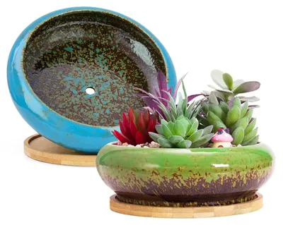 Image de Omgoods - Lot de 2 grandes pots pour plantes succulentes avec soucoupes