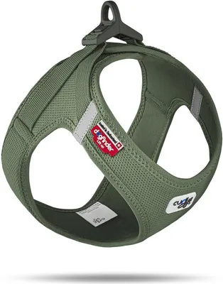 Produktbild von Curli Air-Mesh, Hund, Weste, XS, Grün, Polyester, Chihuahua, Dackel, Jack Russell Terrier, Spitz, Pudel, Französische Bulldogge, Yorkshire Terrier