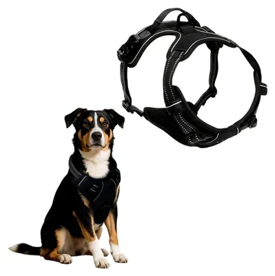 Produktbild von Schwarzes Hund- und Katzengeschirr mit Leine, weiches Brustgeschirr für Katzen und Hunde, ausbruchsicher und verstellbar, mit Reflexstreifen (M)