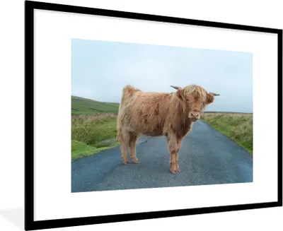 Produktbild von MuchoWow® MuchoWow® Gerahmtes Poster Scottish Hochlandrind - Straße - Gras 90x60 cm - Poster mit zchwarzem Bilderrahmen - Wanddekoration - Fotos