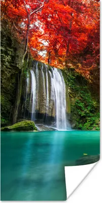 Produktbild von MuchoWow® Poster Wasserfall - Baum - Rot - Herbst - Wasser 60x120 cm - Wandschmuck