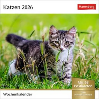Produktbild von Harenberg Postkartenkalender Katzen
