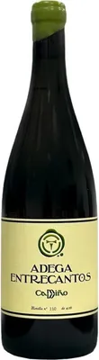 Produktbild von Adega Entrecantos Camiño 2022 Rotwein Spanien IGP Val do Miño 75.00 cl 12.5 %