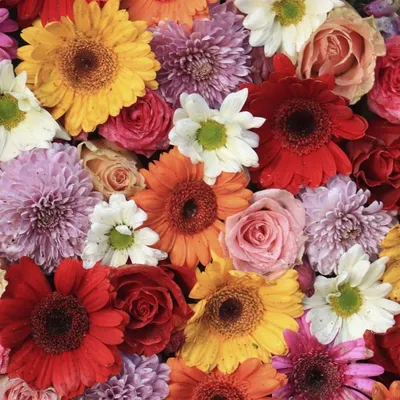 Produktbild von RP 20 Servietten Gerbera 33x33cm