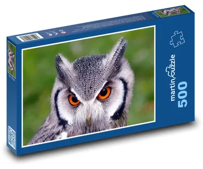 Produktbild von Puzzle 500 Eule mit orangefarbenen Augen - martinpuzzle