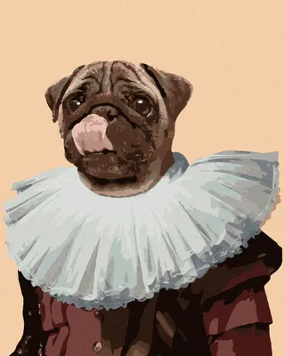 Produktbild von Zuty - Malen nach Zahlen - KÖNIGLICHER HUND - MOPS, 40x50 cm, mit Keilrahmen (bereits gespannt)