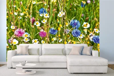 Produktbild von Vlies Fototapete WILDBLUMENFELD 375 x 250 cm (inkl. Kleister) - Vlies Tapete, Wandtapete, Wandbilder - Tapete für Wohnzimmer Schlafzimmer, Büro, Küche - Montagefertig