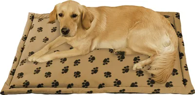 Produktbild von WENKO MULTI Tier Hunde Decken 90x60 cm Bett Kissen für Korb Fleece weich Polster