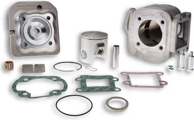 Immagine prodotto di Gruppo termico Malossi MHR D 47 alluminio spinotto 10