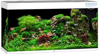 Produktbild von Aquarium JUWEL Rio 350 mit LED-Beleuchtung, Pumpe, Filter, Heizer ohne Unterschrank weiß