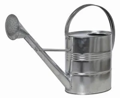 Gießkanne 10 l verzinkt, Blumenschenker, 395240