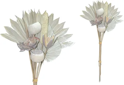 Produktbild von BOHO Trockenblumenstrauß gemischt Exotic Palmspear white wash 60cm,10 teilig