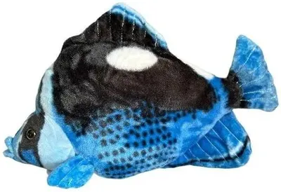 Produktbild von Ryba Hepatus niebieska 41cm - Dubi