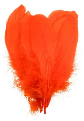 20 schöne Gänsefedern Kostümzubehör ca. 14-17,orange