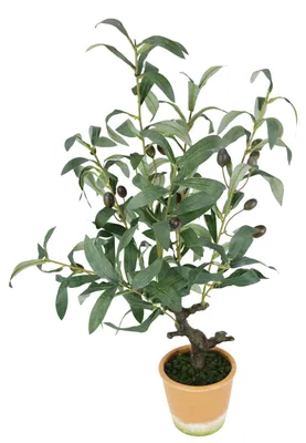 Imagen del producto de Árbol de olivo artificial con frutos s, 57 cm