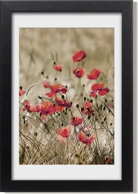 Produktbild von Bild 20x30 MDF-Rahmen, Wandkunst Wildblumen
