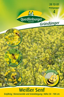 Produktbild von Senf weißer (50 g) | Gründünger von Quedlinburger