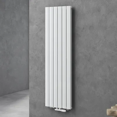 Produktbild von doporro Vertikal Badeizkörper Badheizung 160x46cm Weiß | Doppellagig Heizkörper Flachheizkörper Mittelanschluss | Flach Paneelheizkörper 1540Watt