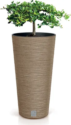 A potted plant in a textured planter.