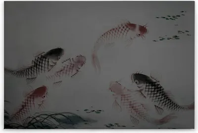 Produktbild von Leinwandbild Fisch 60 x 90 cm - Wandbild Grau Braun - Keilrahmen Tiere Wohnzimmerdeko Wanddeko Wandgemälde