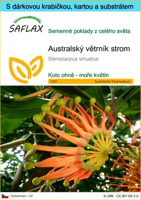 Obrázek produktu pro SAFLAX Dárková sada - Australský větrník strom - Stenocarpus sinuatus - 20 Semena - S dárkovou krabičkou, přepravním štítkem, dárkovou kartou a pěstebním médiem