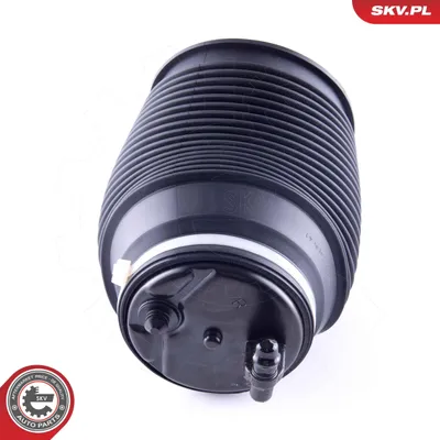 Obrázek produktu pro ESEN, pneumatické odpružení, podvozek, model x 58SKV006