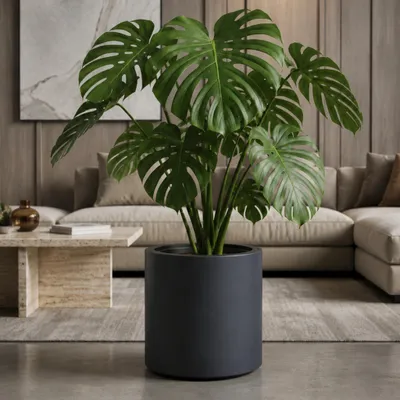 Produktbild von Großer außen Blumentopf NIVO rund 47 x 45 cm anthrazit