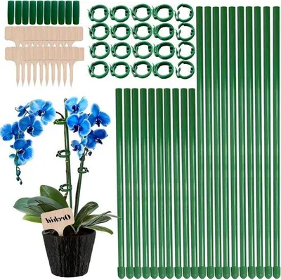 Productafbeelding van Famanu plantensteunen met ringen - verstelbaar - 60 stuks, 30 cm en 45 cm