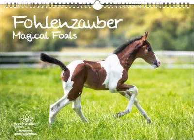 Produktbild von Fohlenzauber DIN A3 Immerwährender Kalender Pferde und Fohlen - Seelenzauber