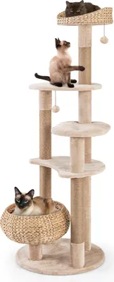 A multi-level cat tree with three cats on it, set against a white background.