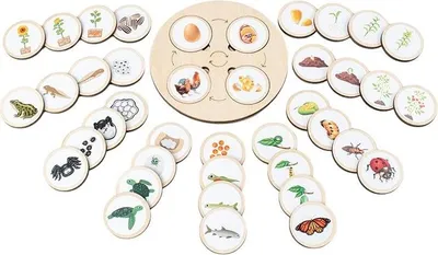 Produktbild von Spielzeug Spiel Für Kinder Rad des Lebens Phasen der Pflanzen-und Tierentwicklung Montessori