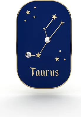 Produktbild von PINETS Sternzeichen Pin Stier Strass