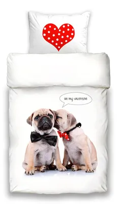 Produktbild von Schwanberg Bettwäsche Valentine Animal Renforcé 135 cm x 200 cm