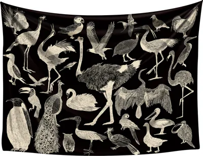 Obrázok produktu pre Vtáky | 200 x 145 cm | Závesný obraz vtákov | Prírodný gobelín | Vrátane montážneho materiálu | Čierna