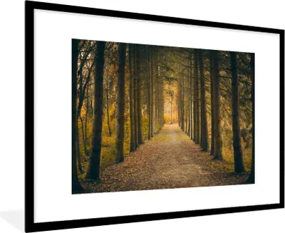 Produktbild von MuchoWow® Gerahmtes Poster Pfad - Bäume - Wald 90x60 cm - Poster mit Schwarzem Bilderrahmen Wandposter Rahmen Foto Bilder - Wanddekoration - Fotos