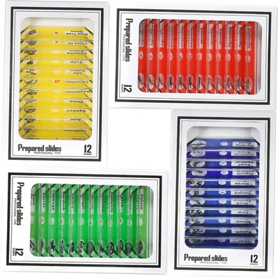 Image de jeu de 48 verres de microscope pour enfants, animaux, insectes, plantes, échantillons, avec étiquettes de couleur pour les élèves