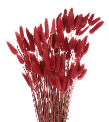 Kunst-Pampasgras 20 Stk. 43 cm rot Wohnzimmer Deko