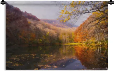 Produktbild von MuchoWow® Wandteppich Wandbehang Natur - Wald - Herbst 150x100 cm Tapisserie Dekoration Wandtuch - Waschbar - Tapisserien - Wand-Decke